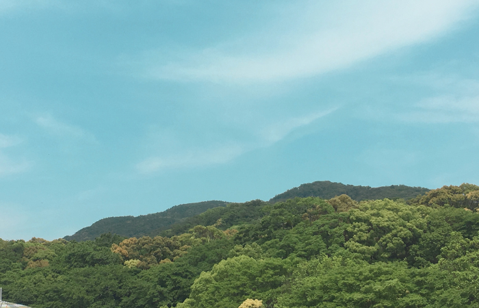 景色の画像バナー
